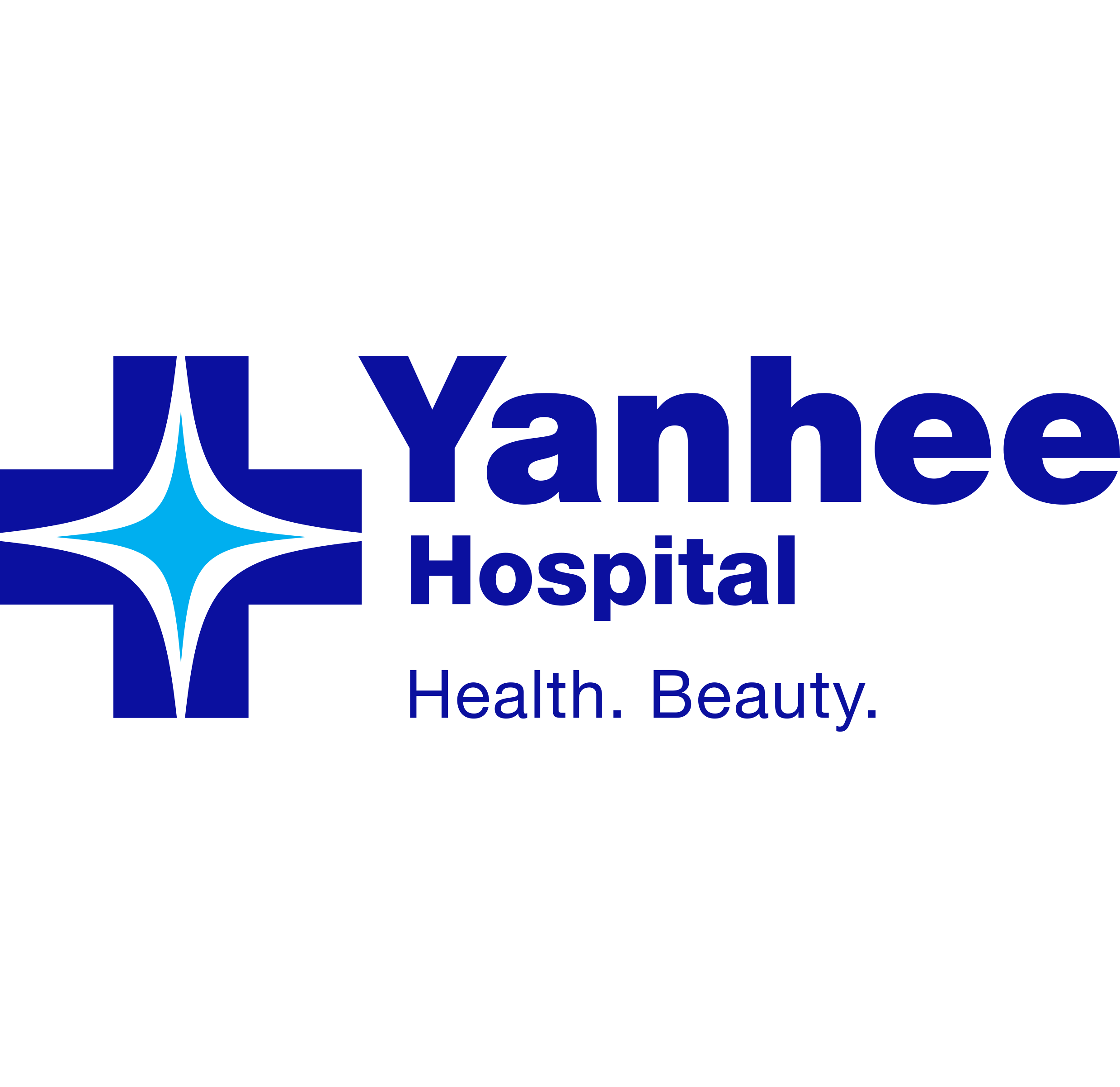 logo-yanhee
